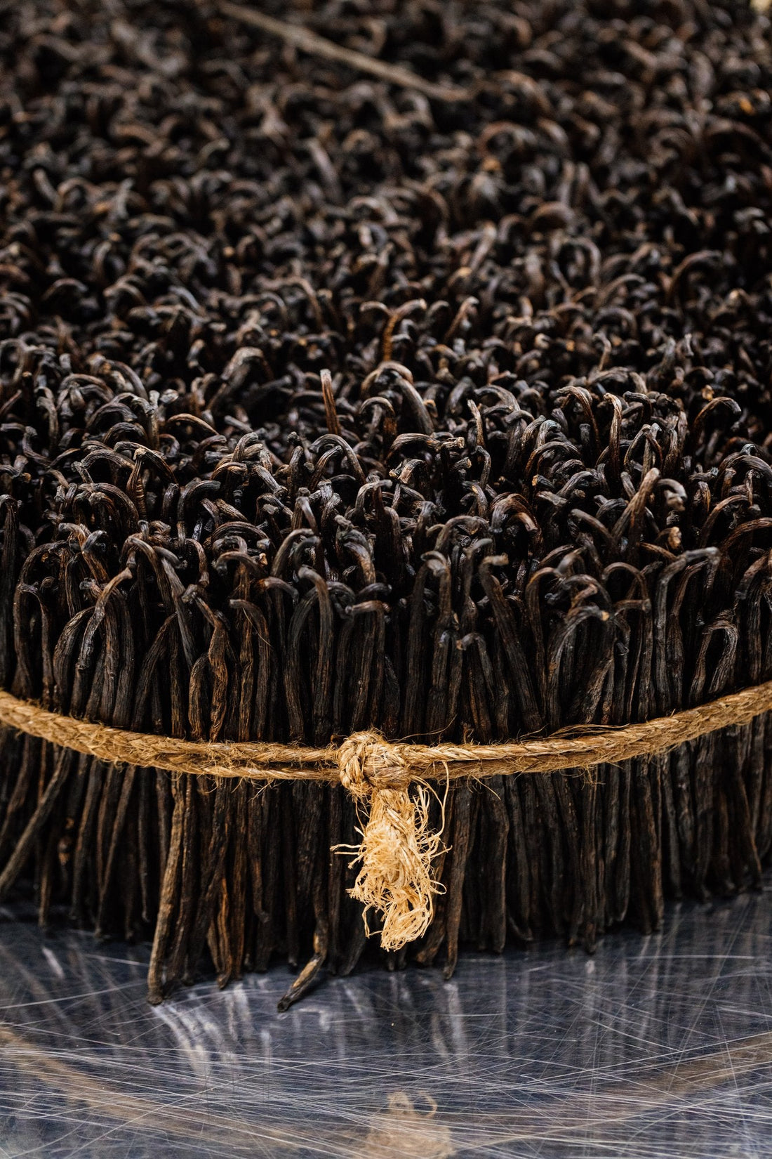 Feixe de favas de baunilha de Madagascar, ingrediente principal do perfume Fabulous Vanilla da Felisa Beauty, símbolo do gourmand que ganha destaque no olfato em transformação