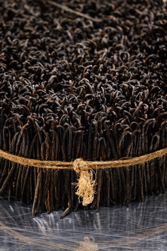 Feixe de favas de baunilha de Madagascar, ingrediente principal do perfume Fabulous Vanilla da Felisa Beauty, símbolo do gourmand que ganha destaque no olfato em transformação