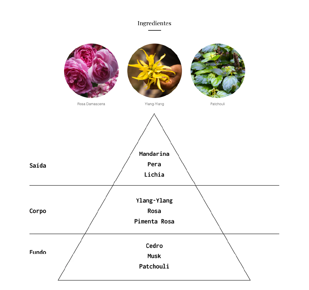 Pirâmide olfativa do perfume Majestic Rose da Felisa Beauty, com notas de saída (mandarina, pera, lichia), coração (ylang-ylang, rosa, pimenta rosa) e base (cedro, musk, patchouli)