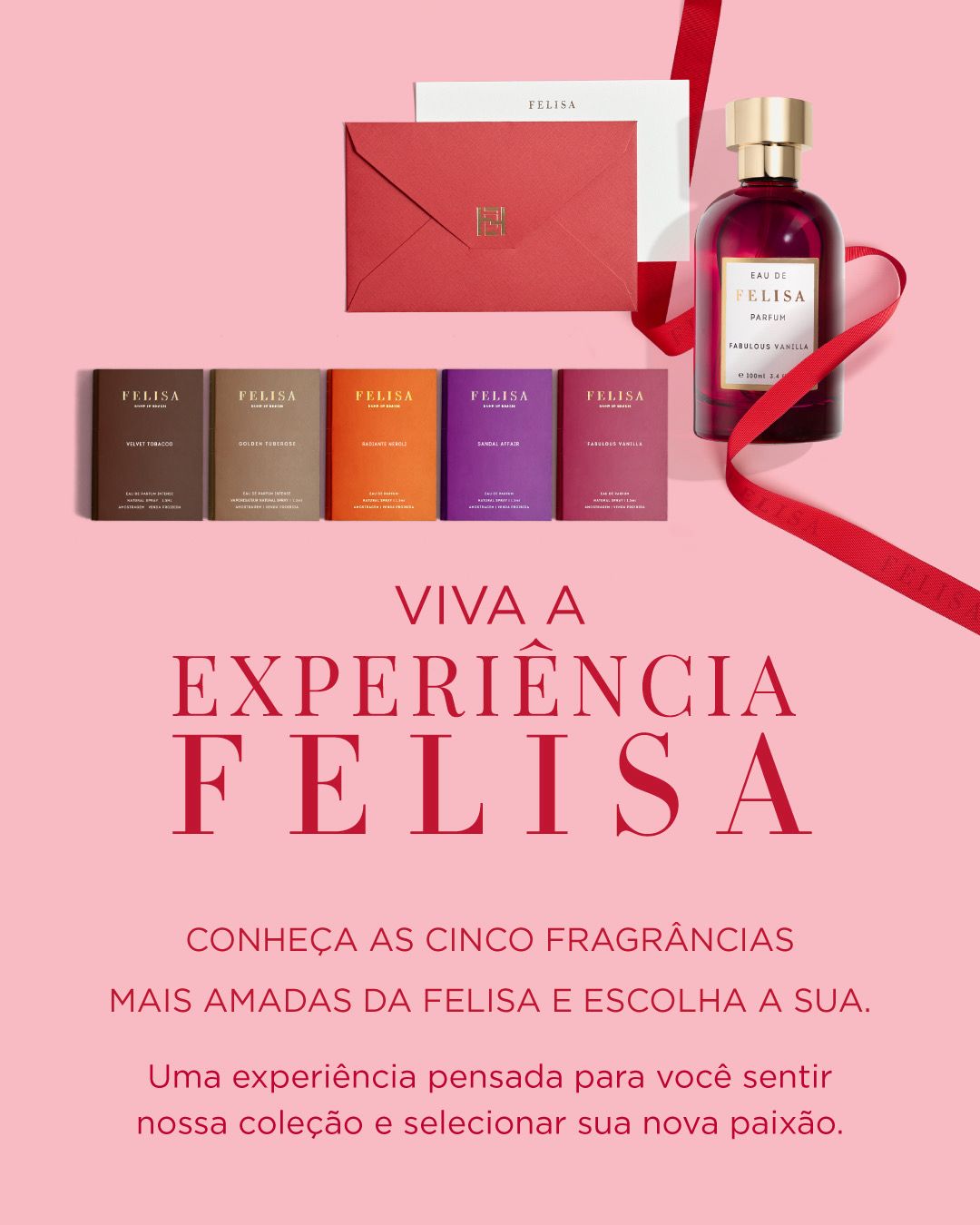 Felisa Special Journey