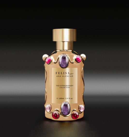 The Extraordinary Collection: Silent Treasure