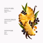 Magnetic Amber EDP Intense